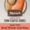 Merrick Healthy Grains Salmon and Brown Rice Freeze Dried Raw Coated Kibble, Natural High Protein Dog Food, 10 lbs.