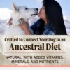 Merrick Backcountry Healthy Grains Kibble with Freeze Dried Raw Pieces, Pacific Catch Recipe Premium Dog Food, 20 lbs.