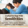 Merrick Limited Ingredient Diet Premium and Natural Kibble with Healthy Grains Chicken and Brown Rice Dog Food, 22 lbs.