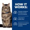 Hill's Prescription Diet Gastrointestinal Biome Stress Digestive/Fiber Care with Chicken Dry Cat food, 4 lbs.