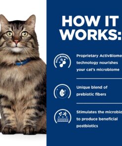 Hill's Prescription Diet Gastrointestinal Biome Stress Digestive/Fiber Care with Chicken Dry Cat food, 4 lbs.
