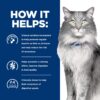 Hill's Prescription Diet Gastrointestinal Biome Stress Digestive/Fiber Care with Chicken Dry Cat food, 8.5 lbs.