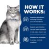 Hill's Prescription Diet Gastrointestinal Biome Stress Digestive/Fiber Care with Chicken Dry Cat food, 8.5 lbs.