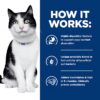Hill's Prescription Diet i/d Digestive Care Chicken Flavor Dry Cat Food, 4 lbs., Bag