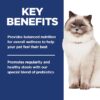 Hill's Science Diet Adult 7+ Perfect Digestion Chicken, Barley & Whole Oats Recipe Dry Cat Food, 6 lbs. Hill's Science Diet Adult 7+ Perfect Digestion Chicken, Barley & Whole Oats Recipe Dry Cat Food, 6 lbs.