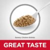 Hill's Science Diet Adult 7+ Savory Chicken Entree Canned Cat Food, 2.9 oz., Case of 24