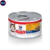Hill's Science Diet Adult 7+ Savory Chicken Entree Canned Cat Food, 2.9 oz., Case of 24