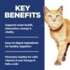 Hill's Science Diet Adult 7+ Senior Vitality Chicken & Rice Recipe Dry Cat Food, 6 lbs. Hill's Science Diet Adult 7+ Senior Vitality Chicken & Rice Recipe Dry Cat Food, 6 lbs.