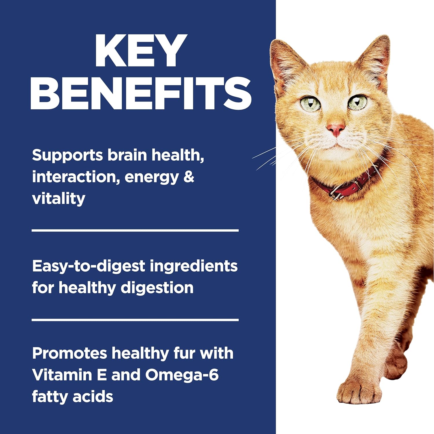 Hill's Science Diet Adult 7+ Senior Vitality Chicken & Rice Recipe Dry Cat Food, 6 lbs.4 Hill's Science Diet Adult 7+ Senior Vitality Chicken & Rice Recipe Dry Cat Food, 6 lbs.