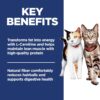 Hill's Science Diet Adult Multiple Benefit Chicken Recipe Dry Cat Food, 7 lbs.