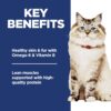 Hill's Science Diet Adult No Corn, Wheat or Soy Chicken Dry Cat Food, 7 lbs. Hill's Science Diet Adult No Corn, Wheat or Soy Chicken Dry Cat Food, 7 lbs.