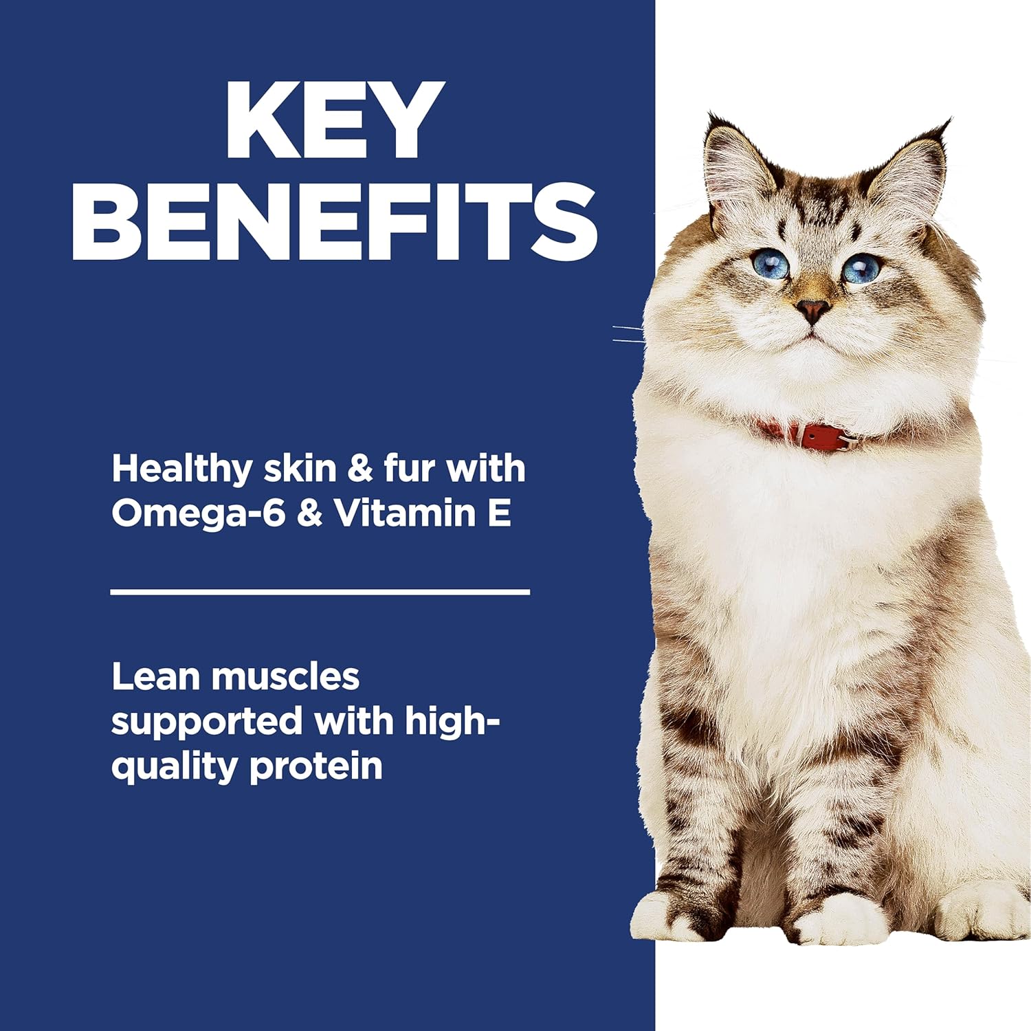 Hill's Science Diet Adult No Corn, Wheat or Soy Chicken Dry Cat Food, 7 lbs.4 Hill's Science Diet Adult No Corn, Wheat or Soy Chicken Dry Cat Food, 7 lbs.