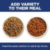 Hill's Science Diet Adult Perfect Digestion Chicken, Barley & Whole Oats Recipe Dry Cat Food, 13 lbs.