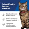 Hill's Science Diet Adult Sensitive Stomach & Sensitive Skin Chicken & Beef Cat Food, 2.8 oz., Case of 24