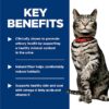 Hill's Science Diet Adult Urinary Hairball Control Chicken & Vegetable Stew Wet Cat Food, 2.9 oz., Case of 24
