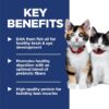 Hill's Science Diet Kitten Chicken & Vegetables Stew Wet Cat Food, 2.8 oz., Case of 24
