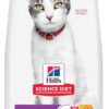 Hill's Science Diet Senior 11+ Chicken Recipe Dry Cat Food, 15.5 lbs.