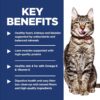 Hill's Science Diet Senior 7+ Indoor Chicken Recipe Dry Cat Food, 15.5 lbs.