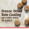 Merrick Healthy Grains Beef and Brown Rice, Raw Coated Kibble, Natural High Protein Freeze Dried Dog Food, 10 lbs.