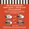 Merrick Purrfect Bistro Grain Free Chicken & Sweet Potato Recipe Natural Dry Cat Food for Adult Cats, 12 lbs.
