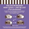 Merrick Purrfect Bistro Grain Free Lamb and Carrots Recipe Natural Dry Cat Food for Adult Cats, 12 lbs.