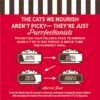 Merrick Purrfect Bistro Grain Free Premium High Protein Beef Recipe Soft Canned Pate Adult Wet Cat Food, 3 oz., Case of 24