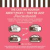 Merrick Purrfect Bistro Grain Free Premium High Protein Salmon Recipe Soft Canned Pate Adult Wet Cat Food, 3 oz., Case of 24 Merrick Purrfect Bistro Grain Free Premium High Protein Salmon Recipe Soft Canned Pate Adult Wet Cat Food, 3 oz., Case of 24
