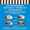 Merrick Purrfect Bistro Grain Free Premium Land & Sea Recipe Soft Canned Pate Adult Wet Cat Food, 3 oz., Case of 24