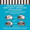 Merrick Purrfect Bistro Wild Cod, Spinach and Wild Rice Recipe in Gravy, High Protein Natural Wet Cat Food, 3 oz., Case of 24