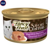 Purina Fancy Feast Savory Centers Pate Adult Wet Cat Food with Beef and a Gravy Center, 3 oz., Case of 24