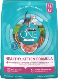 Purina ONE Healthy Kitten +Plus Formula High Protein Natural Dry Food, 16 lbs.