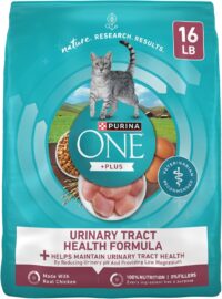 Purina ONE High Protein +Plus Urinary Tract Health Formula Dry Cat Food, 16 lbs.