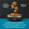 Purina Pro Plan AdvantEDGE Digestive Support Plus Adult Salmon and Rice Formula Dry Cat Food, 5 lbs.