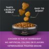 Purina Pro Plan AdvantEDGE Senior Support Plus Adult 7 Plus Chicken and Rice Formula Dry Cat Food, 12 lbs.
