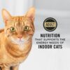 Purina Pro Plan Focus Indoor Care Turkey & Rice Formula Adult Dry Cat Food, 16 lbs.