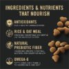 Purina Pro Plan Sensitive Skin and Stomach Lamb and Rice Formula Dry Cat Food, 16 lbs.