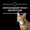 Purina Pro Plan Veterinary Diets HA Hydrolyzed Feline Formula Dry Cat Food, 4 lbs. Purina Pro Plan Veterinary Diets HA Hydrolyzed Feline Formula Dry Cat Food, 4 lbs.