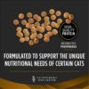 Purina Pro Plan Veterinary Diets NF Kidney Function Advanced Care Feline Formula Dry Cat Food, 3.15 lbs. Purina Pro Plan Veterinary Diets NF Kidney Function Advanced Care Feline Formula Dry Cat Food, 3.15 lbs.