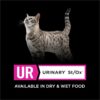 Purina Pro Plan Veterinary Diets UR Urinary St/Ox Feline Formula Wet Cat Food, 5.5 oz., Case of 24