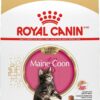 Royal Canin Feline Breed Nutrition Maine Coon Kitten Dry Cat Food, 3 lbs.