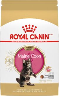 Royal Canin Feline Breed Nutrition Maine Coon Kitten Dry Cat Food, 3 lbs.