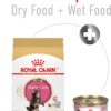 Royal Canin Feline Breed Nutrition Maine Coon Kitten Dry Cat Food, 3 lbs.