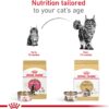 Royal Canin Feline Breed Nutrition Maine Coon Kitten Dry Cat Food, 3 lbs.