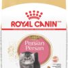 Royal Canin Feline Breed Nutrition Persian Kitten Dry Cat Food, 3 lbs.