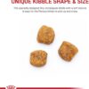 Royal Canin Feline Breed Nutrition Persian Kitten Dry Cat Food, 3 lbs.