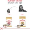 Royal Canin Feline Breed Nutrition Persian Kitten Dry Cat Food, 3 lbs.