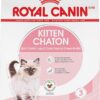 Royal Canin Feline Health Nutrition Kitten Dry Cat Food, 14 lbs.