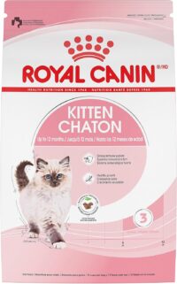 Royal Canin Feline Health Nutrition Kitten Dry Cat Food, 14 lbs.