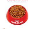Royal Canin Feline Health Nutrition Kitten Dry Cat Food, 14 lbs.