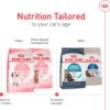 Royal Canin Feline Health Nutrition Kitten Dry Cat Food, 14 lbs.